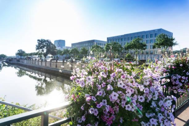 Ancien Mulhouse 101 Appartamento Mulhouse